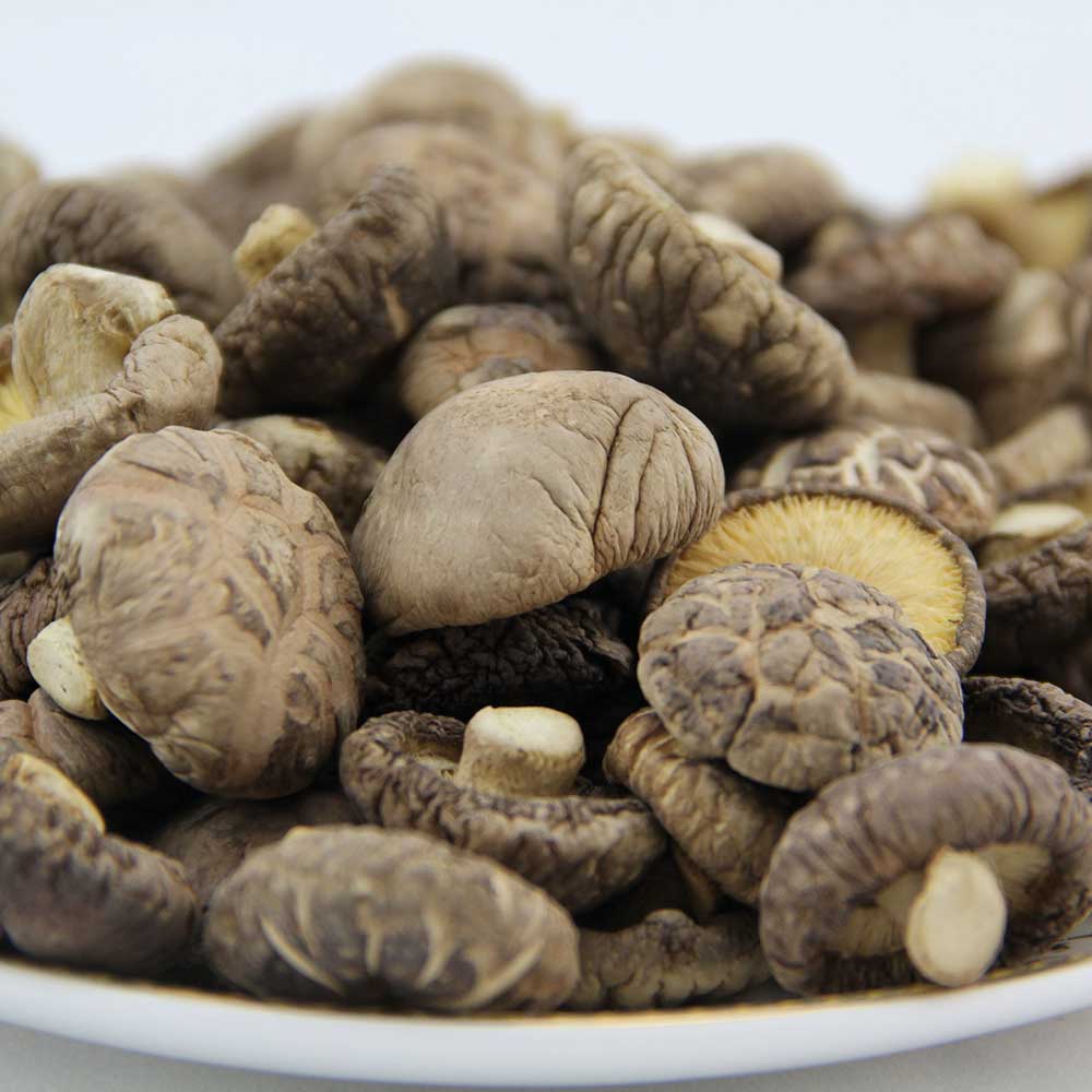 Funghi Shiitake 3-4cm